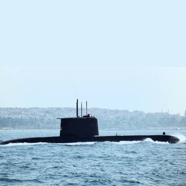 Naval Defence